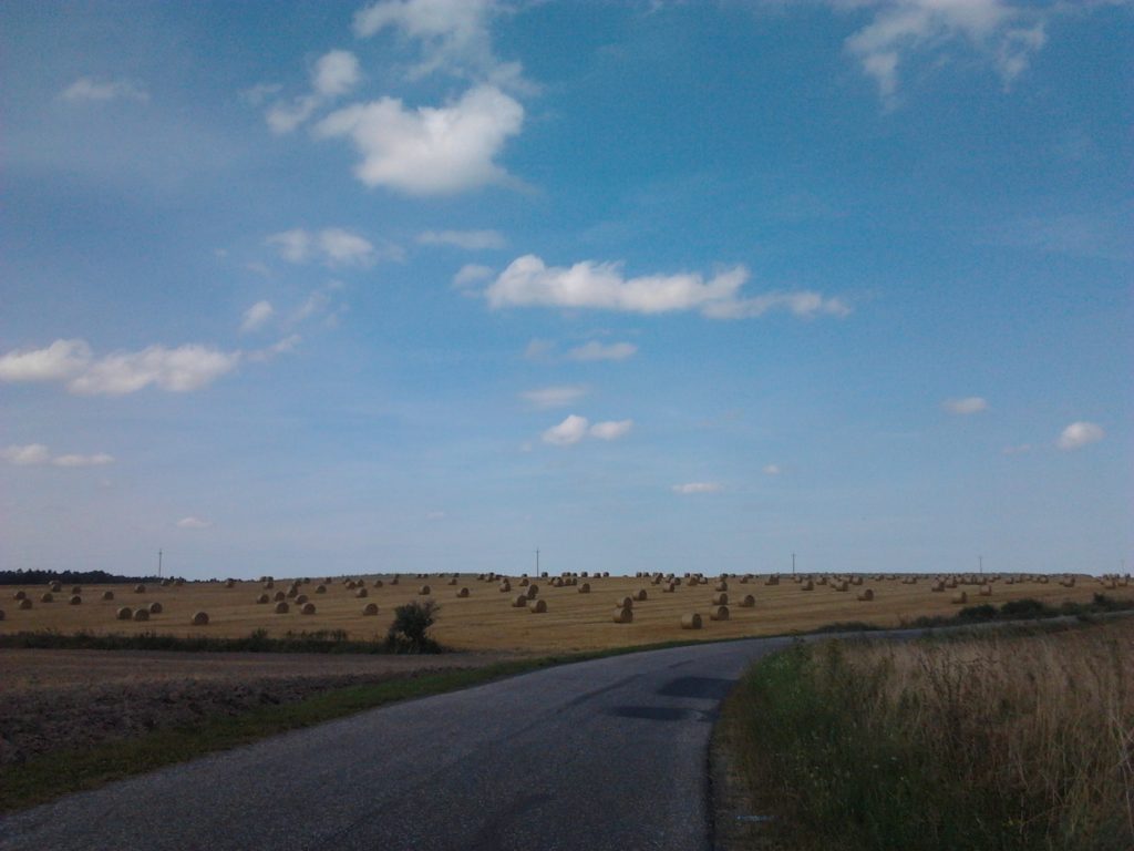 2014-08-10 12.16.49
