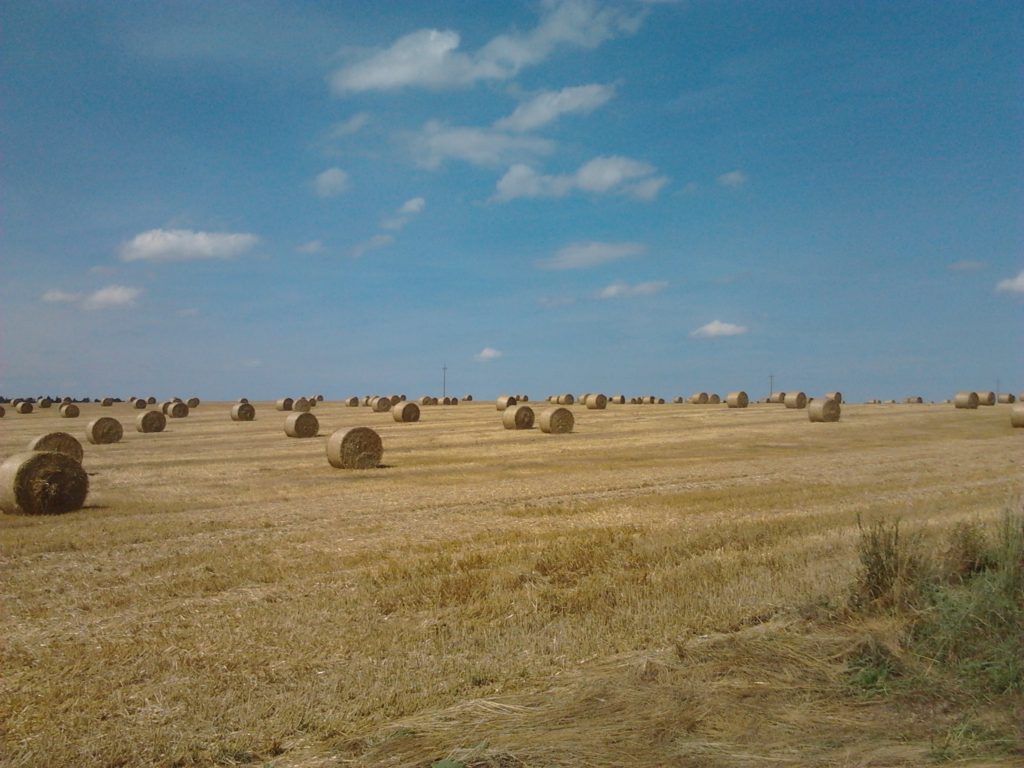 2014-08-10 12.19.34