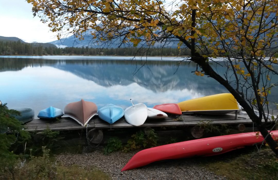 Zapisane w kadrze – poradnik zielonego fotografa