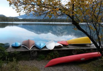 Zapisane w kadrze – poradnik zielonego fotografa