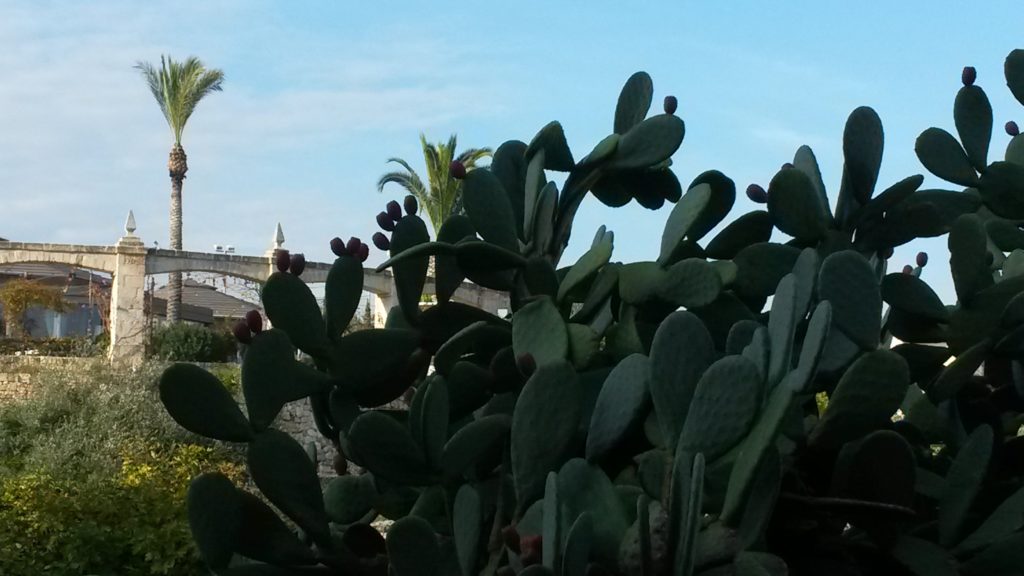 20161124_092207